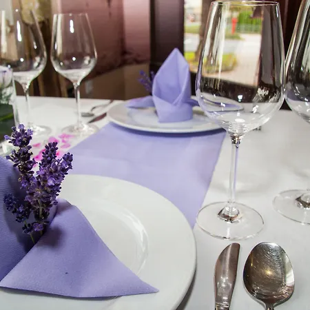 Korona And Restaurant Penzion